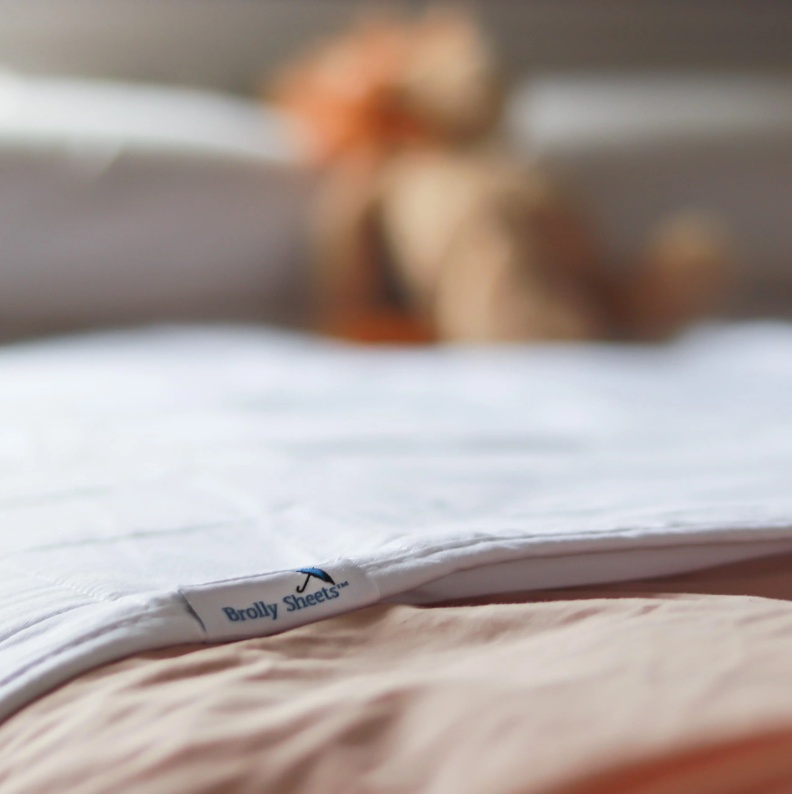 Brolly Sheet With Wings - Image 58