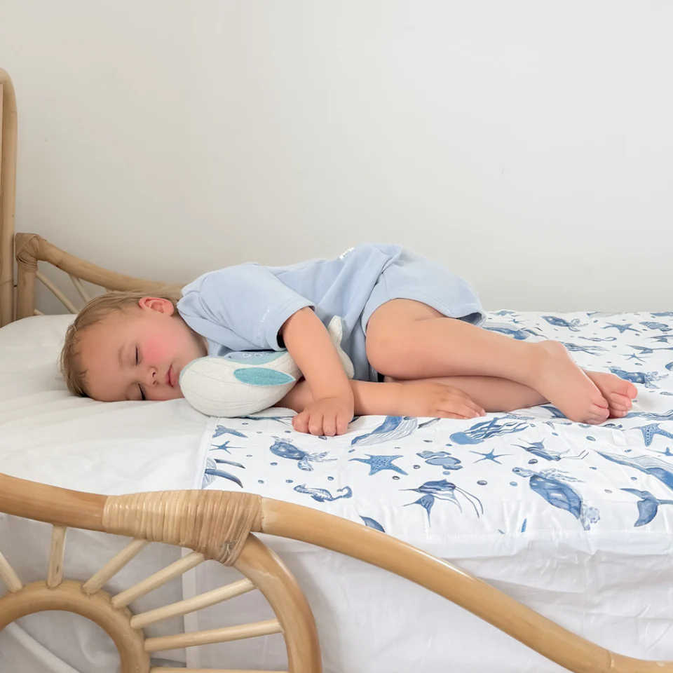 Brolly Sheet With Wings - Image 65