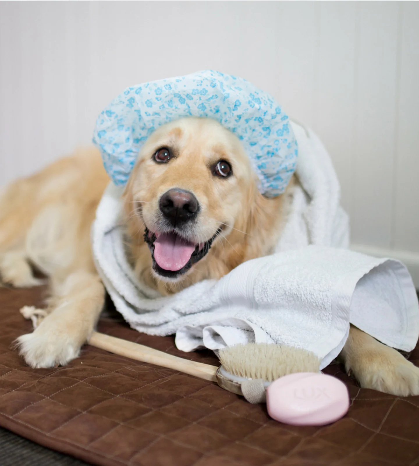 Car Seat or Couch Cover - Image 4